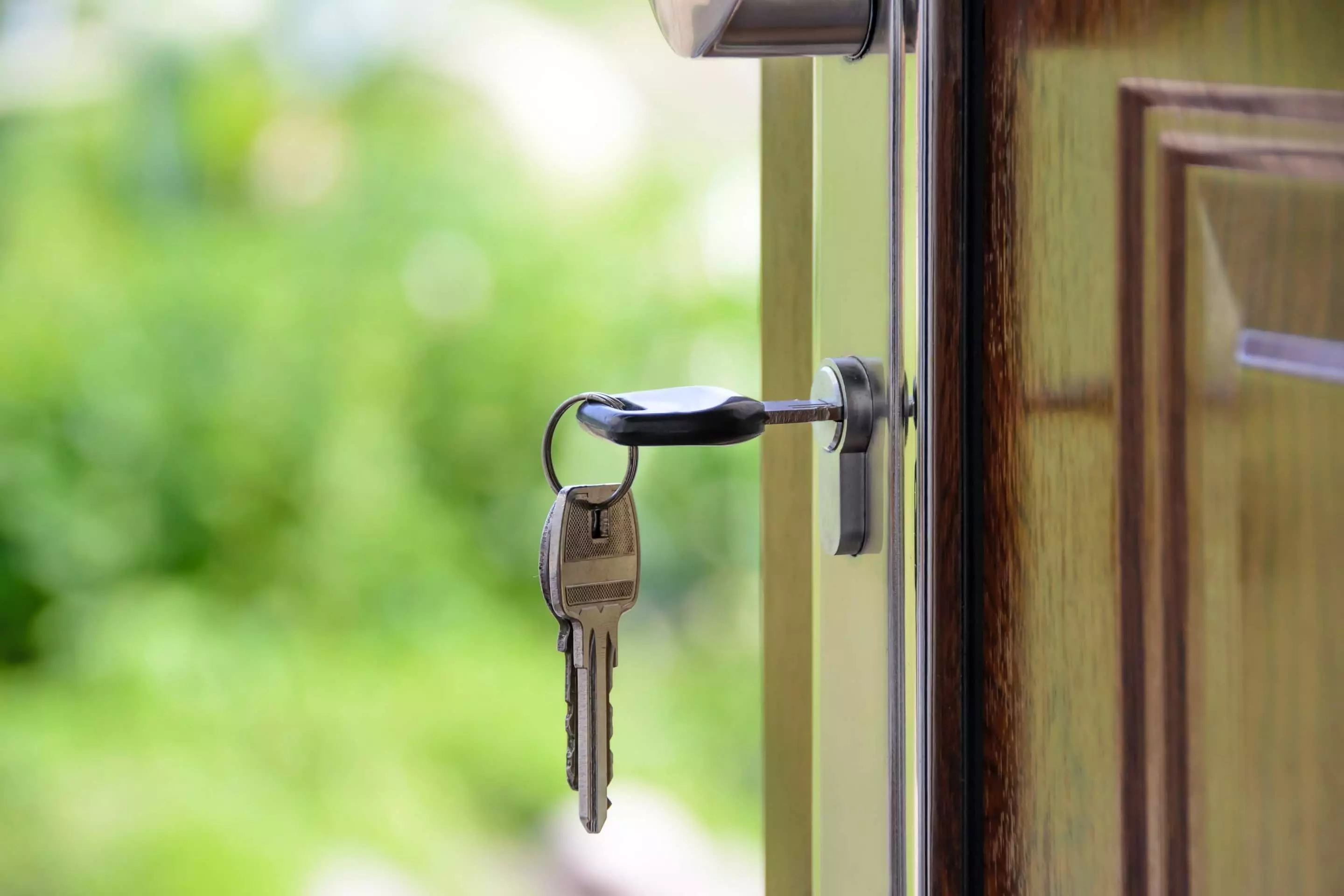 Euro Cylinder Locks
